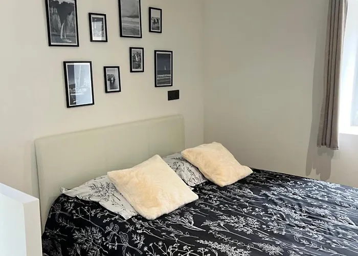 Le Des Oiseaux Daire *